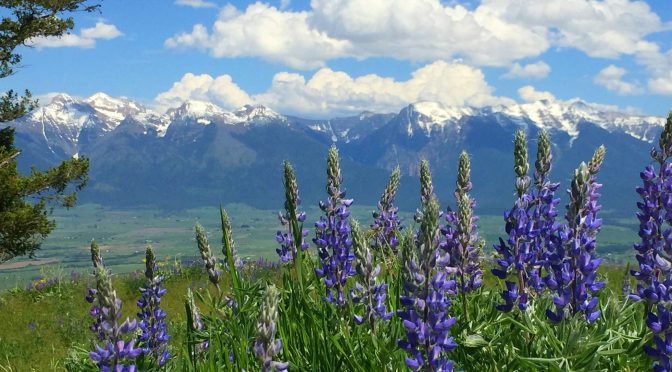 Polson Montana and Glacier National Park!