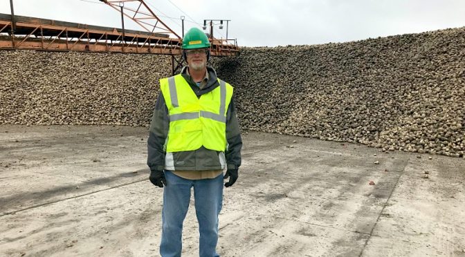 The Sugar Beet Harvest